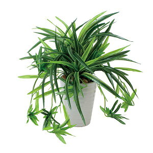 ϗtA G} A hZiۃ|bg  lHϗtA O[ e[u CeA Mtg tFCN v[g  t 28cm lH G}H tFCNO[ L R h z