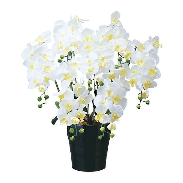 楽天市場 光触媒フラワー 胡蝶蘭 光触媒 造花 母の日 花 アートフラワー 観葉植物 フェイクフラワー コチョウラン アーティフィシャルフラワー 人工観葉植物 精巧 インテリア 造花 フェイク フラワー プレゼント ギフト フラワーギフト 誕生日 消臭 キング胡蝶蘭 7本立ち 楽天市場 光触媒フラワー 胡蝶蘭 光触媒 造花 母の日 花 アートフラワー 観葉植物 フェイクフラワー コチョウラン アーティフィシャルフラワー 人工観葉植物 精巧 インテリア 造花 フェイク フラワー プレゼント ギフト フラワーギフト 誕生日 消臭 キング胡蝶蘭 7本立ち