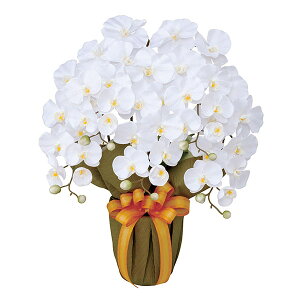 G}t[ Ӓ G}  I tFCNt[ AWg lHA A[eBtBVt[ t[ A[gt[   R`E lHϗtA rO v