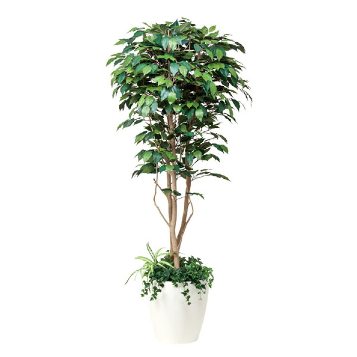 楽天市場】人工観葉植物 観葉植物 光触媒 造花 植栽付 フェイク 