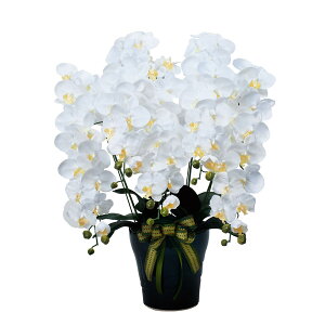 光触媒フラワー 5本立ち 胡蝶蘭 光触媒 鑑賞 おしゃれ 造花 分解 人工 新築祝い 開店祝い アートフラワー ディスプレイ ロイヤル胡蝶蘭5本立 消臭 ホルムアルデヒド 贈り物 プレゼント ギフ