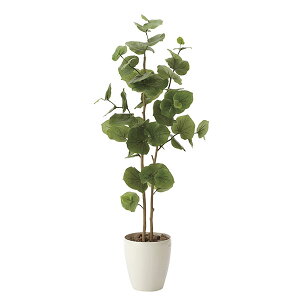 G} ϗtA C~e[V CeA LO tFCNO[ A R ͂Ȃ lHϗtA Mtg ̓ j L 蕨 125cm tFCN V[O[v1.25  r