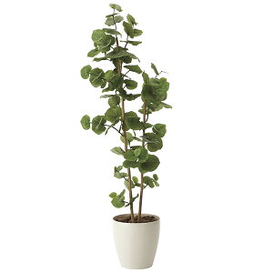 G} ϗtA ͂Ȃ CeA 蕨 R C~e[VO[ lHϗtA A j Mtg L LO ̓ 160cm O[ V[O[v1.6  rO