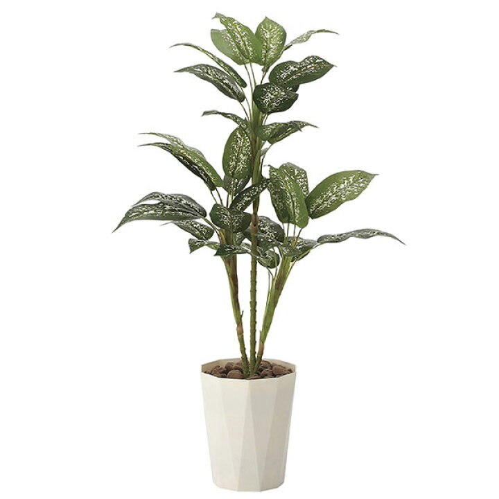 楽天市場 光触媒 観葉植物 イミテーション インテリア 記念日 フェイクグリーン 植物 抗菌 枯れない 人工観葉植物 ギフト 母の日 祝い 消臭 贈り物 高さ90cm フェイク ディフェンバキア90 おすすめ リビング Arne インテリア家具と雑貨