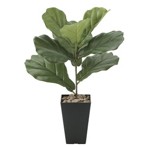 �l�H�ϗt�A�� �R�� ���L �ϗt�A�� �t�F�C�N�O���[�� ��̓� ���G�} �͂�Ȃ� �j�� �L�O�� ���蕨 �C���e���A �M�t�g �J�V���o�S�� �C���e���A�O���[�� �l�H�A�� ����50cm �������� ���r���O