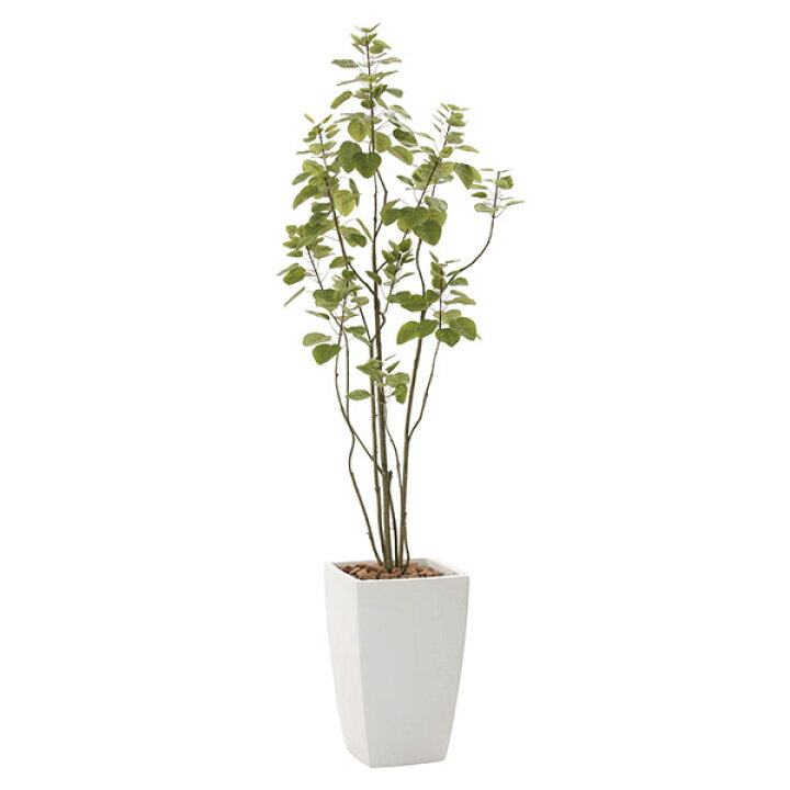 楽天市場】人工観葉植物 光触媒 観葉植物 フェイクグリーン 人工植物 