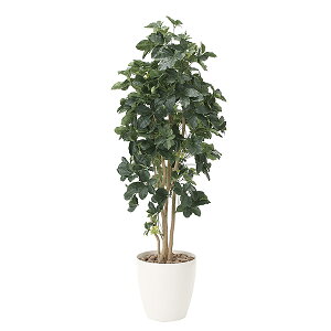 G} ϗtA A lHϗtA CeA  O[ VFt 180cm