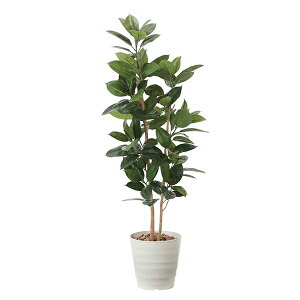 観葉植物 ゴムの木 光触媒の人気商品 通販 価格比較 価格 Com 観葉植物 ゴムの木 光触媒の人気商品 通販 価格比較 価格 Com