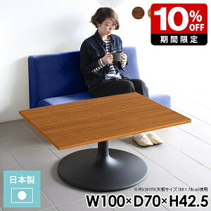 Z^[e[u k \t@e[u [e[u `  JtF e[u 100 JtFe[u l炵 70cm 1{r rOe[u lp  ؖ zCg  RpN