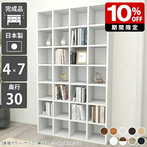 {I R~bN }K [ A4  { DVD[ bN ǖ  k ɖ{ i zCg s30cm  ǂ I ȏ  { e ^ ؐ fBXvC gsv f