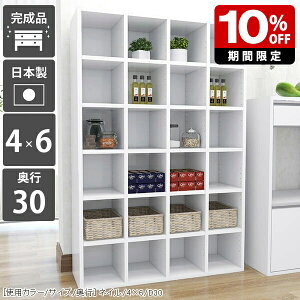 {I   [I A4 { ʎdグ gsv ubNVFt  e G   i I[vbN ɖ{ VFt  rO[  fBXvCbN z