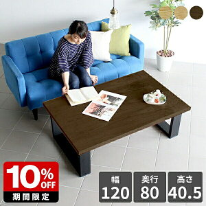 [e[u 傫 a e[u _  Z^[e[u k ڃe[u ItBX ؐ 40cm 120 _CjOe[u EH[ibg C  2l  [fXN p\R 12