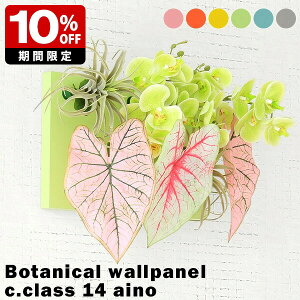 tFCNO[ ϗtA EH[O[ CeA G} O[pl A G} R CeApl ǖ EH[fR ؐ O[ sN IW CG[ u[ 