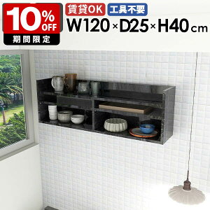 Ǌ|bN EH[VFt fBXvCbN 嗝Ε ubN  ^ X [ 120cm Ǌ|[ rO[ I VFt I ǖ t   k ItBX L