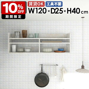 Ǌ|bN EH[VFt fBXvCbN k t 120cm ^  rO[ 嗝Ε X I   zCg Ǌ|[ EH[bN I ǖ Lb` ItB