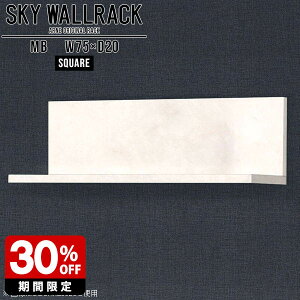 Ǌ| ubNbN r[ JtF Vbv X܏Y EH[VFt  k ΍p{[h  EH[bN Ǌ|VFt 嗝Ε VFt i fBXvCbN 