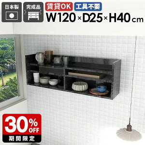 Ǌ|bN EH[VFt fBXvCbN 嗝Ε ubN  ^ X [ 120cm Ǌ|[ rO[ I VFt I ǖ t   k ItBX L