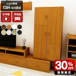 Lrlbg nCLrlbg er{[h  ؖ i { nC`FXg  60 rO [  er T-003 pIvVp[c uE zCg _[NuE k