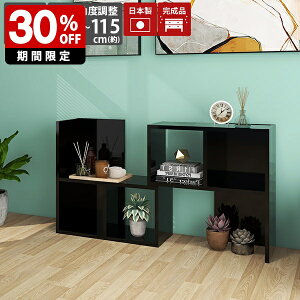 I[vbN  2i bN I rO[ Lk {I _ fBXvCbN ubN ^    ϔM a4 \t@[ [ i s30cm  R[i[bN L 