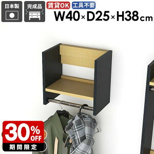 ウォールハンガーラック ウォールラック ベッドルーム ディスプレイ 家具 衣類収納 場所 容量 収納棚 パイプハンガー 取り付け 石膏ボード 洗面所 雰囲気 おすすめ スリム コート コート掛