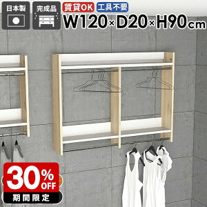 壁掛けラック ウォールハンガーラック キッチン リビング 簡単 収納 石膏ボード ディスプレイラック 洗面所 フック 子供 収納ラック スペース 玄関収納 子供部屋 衣類収納 コート掛け パイ