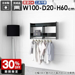 壁掛けハンガーラック 壁掛けラック スタイル 衣類 パイプハンガー 頑丈 家具 シンプル 子供部屋 スリム おしゃれ 壁付け 棚付き 帽子掛け ハンガー リビング 便利 お部屋 洗面所 衣類収納