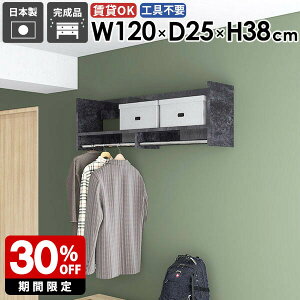 壁掛けラック ウォールハンガーラック パイプハンガー オシャレ インテリア 子供部屋 収納ラック コートハンガー 玄関収納 収納 収納棚 スリム 洋服収納 什器 小物 場所 石膏ボード キッチ