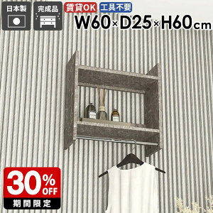 ウォールラック ハンガーラック 飾り棚 コート クローゼット 衣類収納 帽子 シンプル おしゃれ 洋服 洗面所 おすすめ ラック ディスプレイ 壁に付ける 【Miraiウォールハンガーラック 602560 Gra