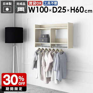 壁掛けハンガーラック 壁掛けラック コートハンガー 石膏ボード 洗面所 おすすめ スリム ハンガー掛け 衣類収納 家具 カバン 便利 飾り棚 小物 賃貸 子供 コート 取り付け 洋服収納 容量 省