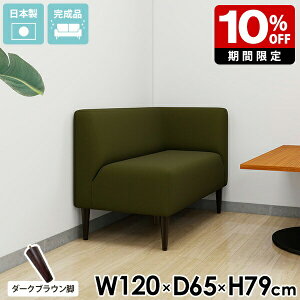 _CjO\t@ 2l| \t@[ k \t@ l| R[i[\t@ `FA RpNg _ 2l ʍ45cm _CjO`FA _CjO\t@[ L l炵 _CjOx