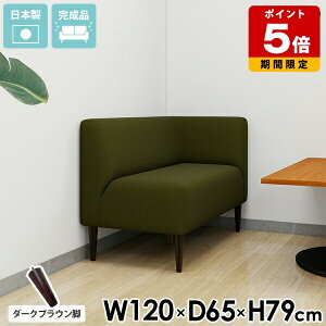 _CjO\t@ 2l| \t@[ k \t@ l| R[i[\t@ `FA RpNg _ 2l ʍ45cm _CjO`FA _CjO\t@[ L l炵 _CjOx