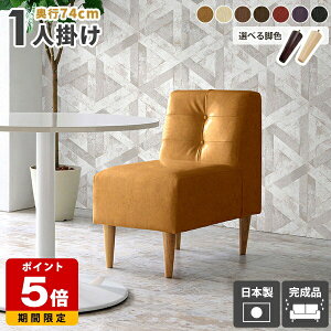 _CjO\t@ RpNg  _CjO`FA ЂƂ肪\t@[  U[ ɂ 1l| p\R`FA 1lp ʍ45cm 1l|\t@ 1l ЂƂ肪 lp _