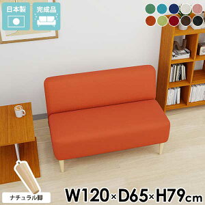 \t@ 2l| RpNg _CjO\t@ JtF I|Ȃ { A[X  ֎q  l炵 _CjOx` 120cm ҍ \t@[   ʍ45cm _CjO`