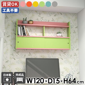 EH[bN 120 ΍p{[h Ǌ|bN VFt ǖʃbN u[ sN CG[ _ [ _CjO ǖʃVFt  ItBX { Ǖt bN  i 