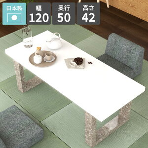 [e[u  rOe[u Z^[e[u 2l|  Ƒ [^Cv JtFe[u 120cm  zCg \t@[e[u rOfXN p\RfXN  {