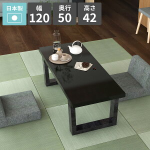 リビングテーブル センターテーブル ローテーブル 2人掛け 机 北欧 カフェテーブル 鏡面 ブラック ソファテーブル コーヒーテーブル シンプルデスク 勉強机 パソコンデスク ロータイプ 幅120