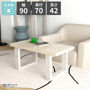 Z^[e[u 1l| [e[u R[q[e[u k  zCg p\RfXN [^Cv  lp { 󒍐Y 90cm s70cm rOe[u VvfXN 