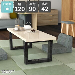 Z^[e[u 2l| [e[u R[q[e[u k  zCg p\RfXN [^Cv  lp { 󒍐Y 120cm s90cm rOe[u VvfXN 