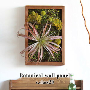 人工観葉植物 インテリア 壁飾り 光触媒 引っ越し祝い リビング グリーンパネル 光触媒造花 ギフト 開店祝 アートフラワー おしゃれ 西海岸 北欧 造花 多肉植物 壁掛け 植物 玄関 プレゼント