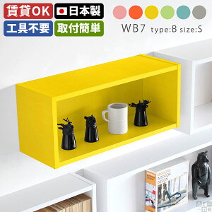 EH[VFt  t  gC ΍p{[h EH[bN Ǌ| [ Vv sN { fBXvCbN ANX^ 60cm k {I 킢 I Ǖt I 