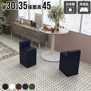 スツール 背もたれあり ミニスツール 待合 椅子 いす チェア 一人暮らし 省スペース 1人掛け コンパクト 玄関 スツールチェア ミニチェア インテリア 在宅ワーク おしゃれ リビング 座面高45c