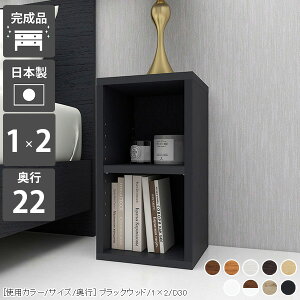 棚 本棚 低い ミニラック オープンラック フリーラック 2段 低め ベッド サイドラック スリムラック スリム 国産 おしゃれ A4 ディスプレイラック 小物 小型 完成品 北欧 可動棚 白 収納 日本