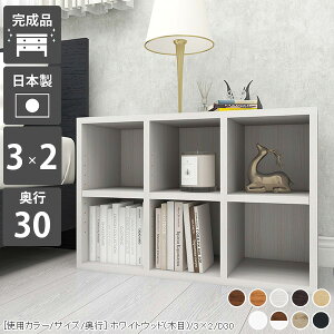 {I zCg ؐ i A4 R~bN ȏ  I[vbN 2i fBXvCbN  ^ ɖ{ s30cm { bN fBXvC   [  k fXNTCh 