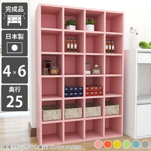 {I R~bN I 킢 [ bN Jt I s25 LbYXy[X pXe G{ gsv l炵 [I O[ ȏ s25cm { rO[ fBXvCb