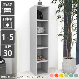 {I X 5i XbN ʏ Ԏ[ bN I ؐ Ԏ[ [I rO[ i ^{  fBXvCbN R~bN a4 s30cm ʐ^W { k G{ [ 