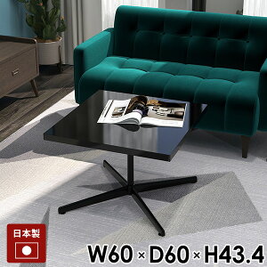 [e[u  JtFe[u lp rOe[u `  60cm  Ⴂ TChe[u \t@[e[u ~je[u ubN    e[u ~ 