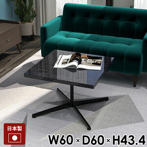 [e[u  JtFe[u lp rOe[u `  60cm  TChe[u  \t@[e[u ~je[u Ⴂ ubN   嗝Ε   e