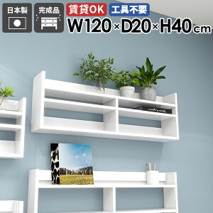 EH[VFt XbN VFt zCg  EH[bN 120cm Ǌ|[ fBXvCbN  ^bN k  Lb` rO[  I [I 