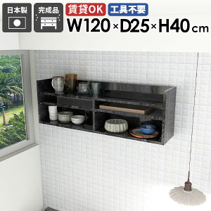 Ǌ|bN EH[VFt fBXvCbN 嗝Ε ubN  ^ X [ 120cm Ǌ|[ rO[ I VFt I ǖ t   k ItBX L