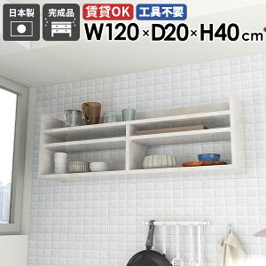 EH[VFt XbN VFt zCg 嗝Ε  EH[bN 120cm Ǌ|[ fBXvCbN  ^ k  ItBX Lb` rO[  